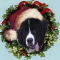 Fedor in Vintage-kerstdecor... gewoon gezellig..