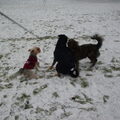 Samen spelen, we zijn toch met z'n drietjes
