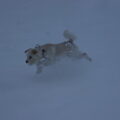 Bram kan nog net genieten van de sneeuw voor hij weg moet!!!!
