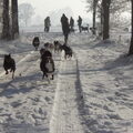 met allemaal vriendjes gaan wandelen
