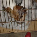 Geen Beschrijving