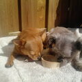 samen spelen, samen delen!