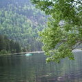 Beieren (Bayern)