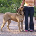 Fila Brasileiro