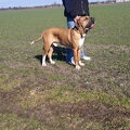 Fila Brasileiro