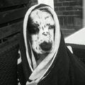 Engelse Cocker Spaniel