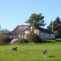 Bodensee / Deggenhausertal