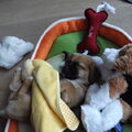 Jack Russell Terrier