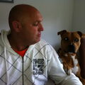 American Staffordshire Terrier