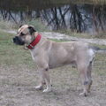 Ca de Bou