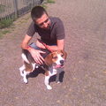 Duitse Brak