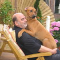 Rhodesian Ridgeback