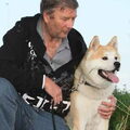 Japanse Akita
