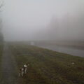 Yoshi in de mist.