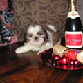 From Abel owner of Chaban