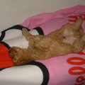 Jacy boy <3