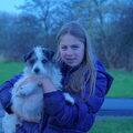 Jack Russell Terrier