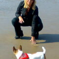 Jack Russell Terrier