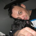 American Staffordshire Terrier