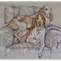 Bracco Italiano