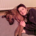 Rhodesian Ridgeback