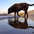 Philo aan zee