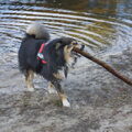 Taiko speelt voor het eerst met een stok...en nog wel in het water ;)