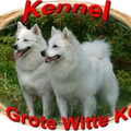 DE GROTE.WITTE.KEES.