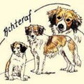 achteraf .nl
