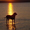 Geen Beschrijving