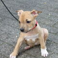 Onze stoere baby van 8 weken.