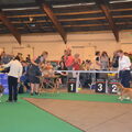 Ijsselshow (Zwolle)