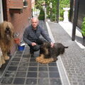 Briard