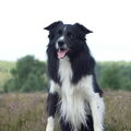 Lovely Zoë
