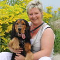 Engelse Cocker Spaniel