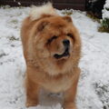kom je ook spelen in de sneeuw?