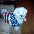 Maltezer
