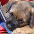 Binti is begonnen met de tent ;-)