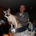 Franse Bulldog