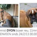 Dyon vermist