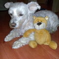 Maltezer