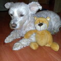 Maltezer