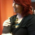 Deze foto is gemaakt toen we voor onze derde teckel gingen kijken. Het was een droom uit mijn jeugd om een black&tan teckeltje te hebben. 
Gelukkig was het liefde op het eerste gezicht. 
Nu met 5 maanden is cookie al een flinke dame van 6 kilo. 