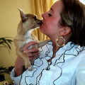 De liefde die je van je hondje krijgt 


