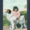 Landseer ECT