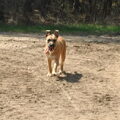 Waarom lachen jullie met me? Is er iets met me? :)