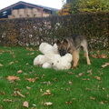 lekker met de teddybeer aan het spelen