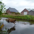 Leonberger