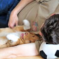 En de laatste foto van Shaely voor de puppenwedstrijd. Hier lig ik met Shaely heerlijk te knuffelen. In de hand die je niet ziet heb ik de remote control voor de camera dus vandaar dat ik zelf toch op de foto sta :-)