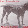 Ca de Bou